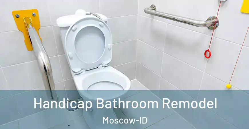 inner Bathroom imggen Handicap Bathroom Remodel Moscow-ID