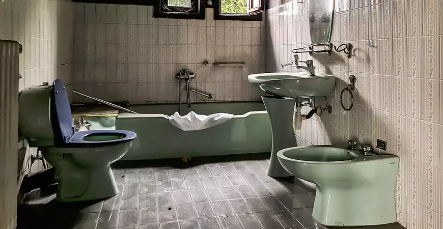 Mid Century Bathroom Remodel in Moscow