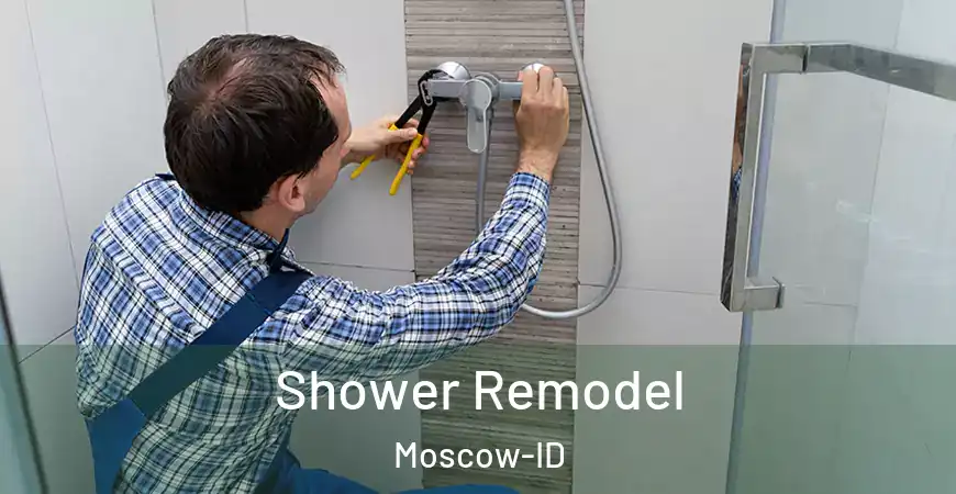 inner Bathroom imggen Shower Remodel Moscow-ID
